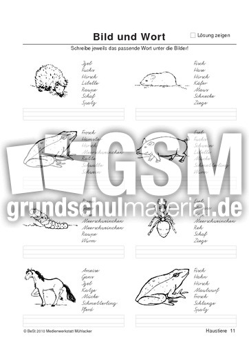 BuW Haustiere11.pdf